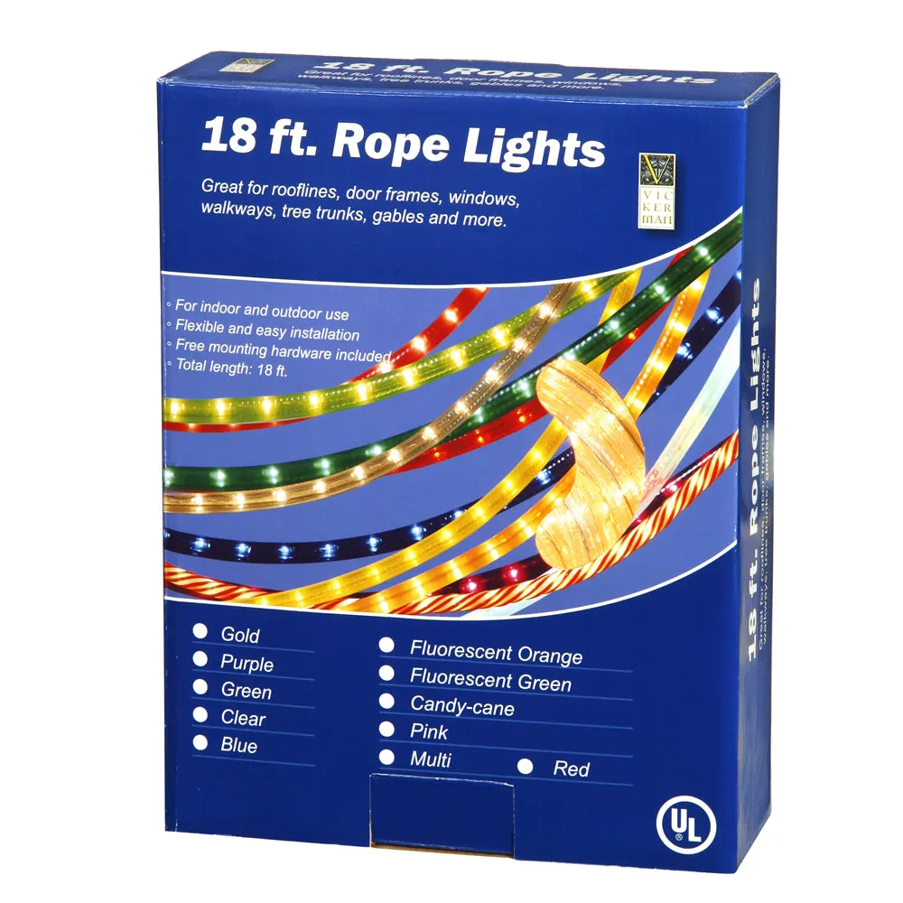 18Ft. Clear Rope Light 5Ft. Lead Christmas Set