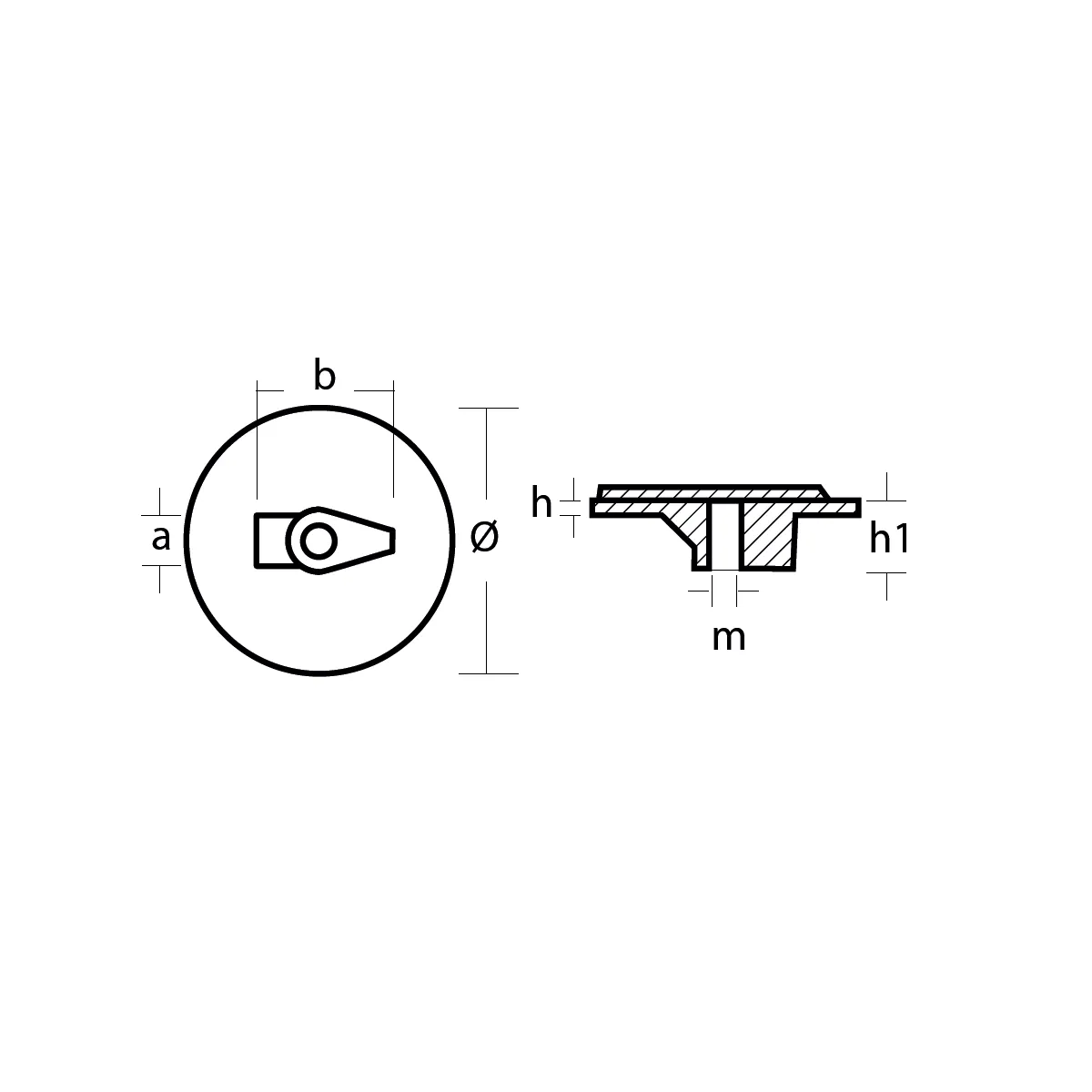 Anode 01153 Yamaha / Mariner Plate