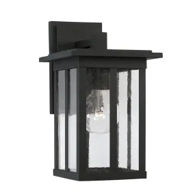 Barrett 1-Light Outdoor Wall Lantern in Black