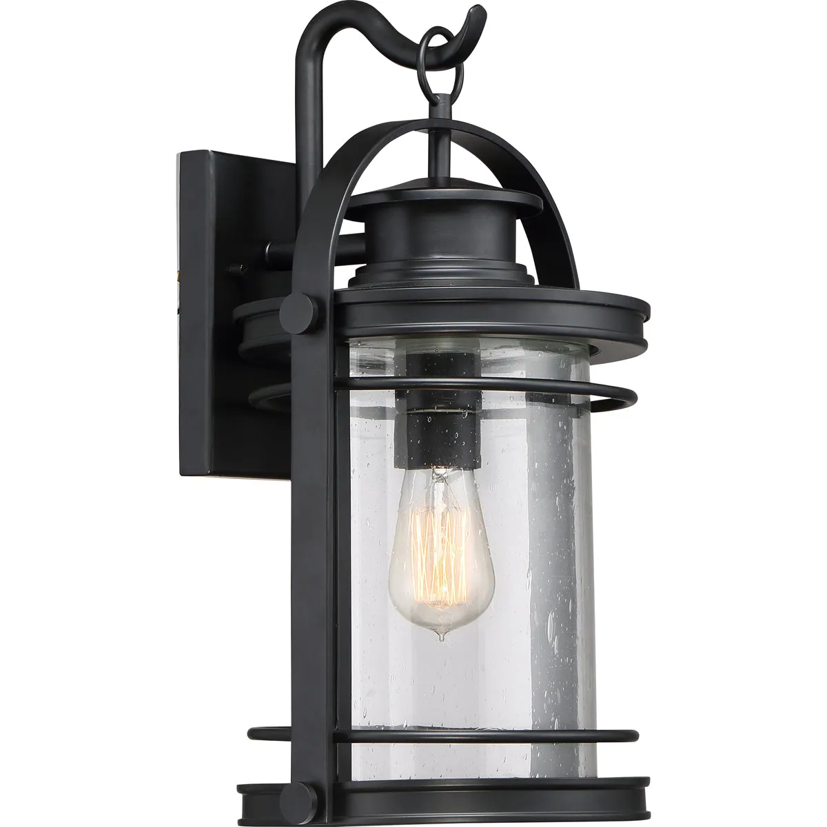 Booker 1-Light Outdoor Lantern