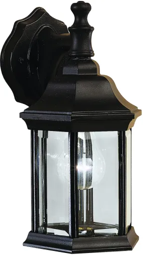 Chesapeake Outdoor Wall 1-Light in Black