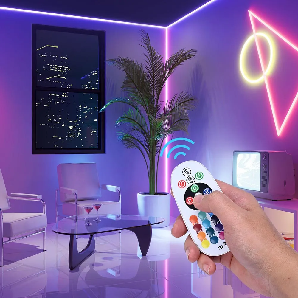 DELight LED Controller RF Remote for 50ft Neon Rope Light RGB