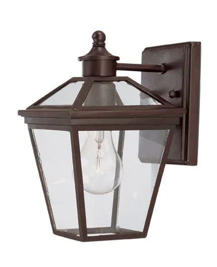 Ellijay 1-Light Outdoor Wall Lantern