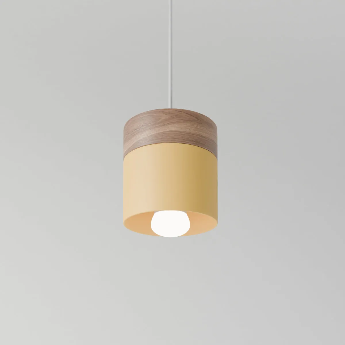 Laetus Pendant Light