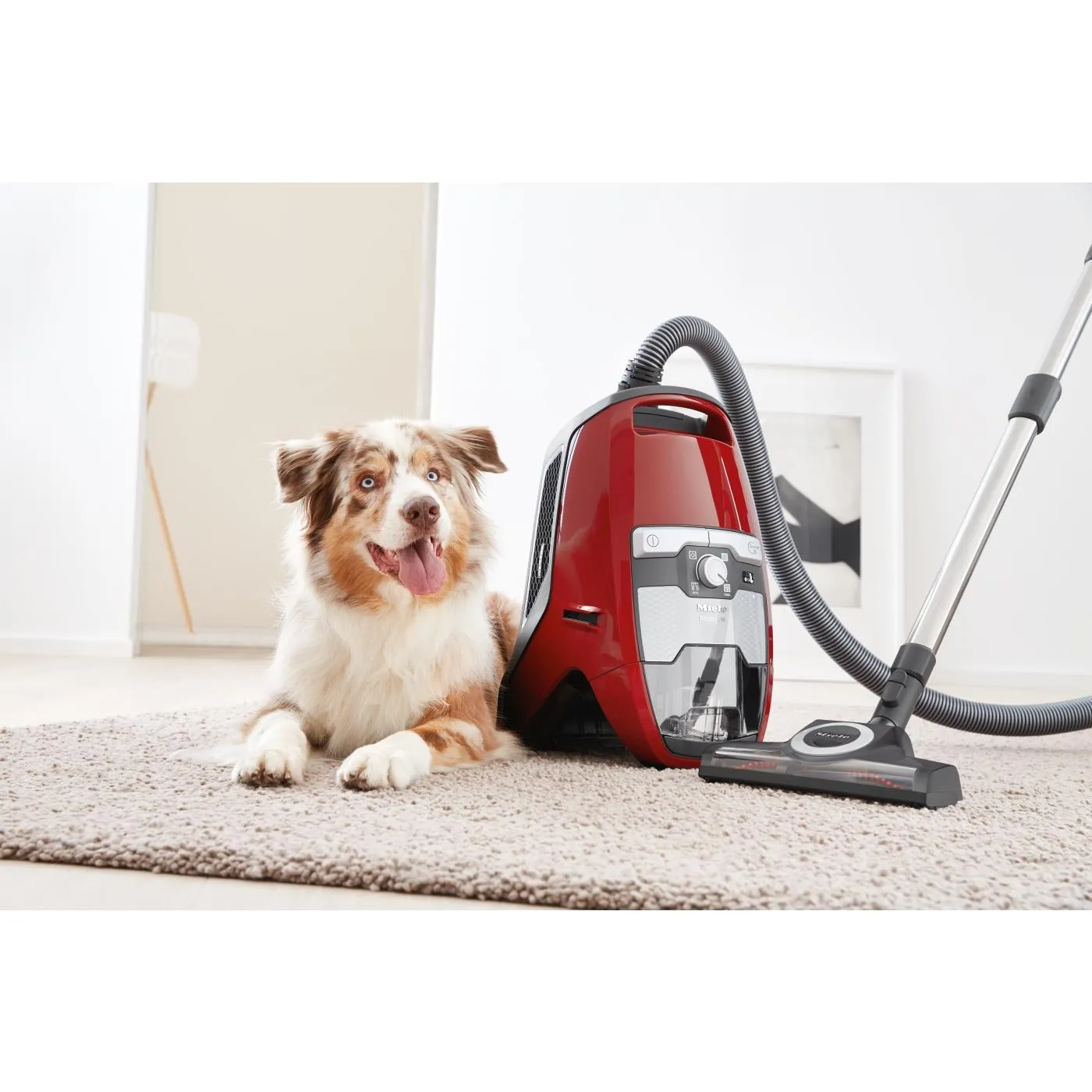 Miele Blizzard CX1 Cat & Dog Bagless Vacuum