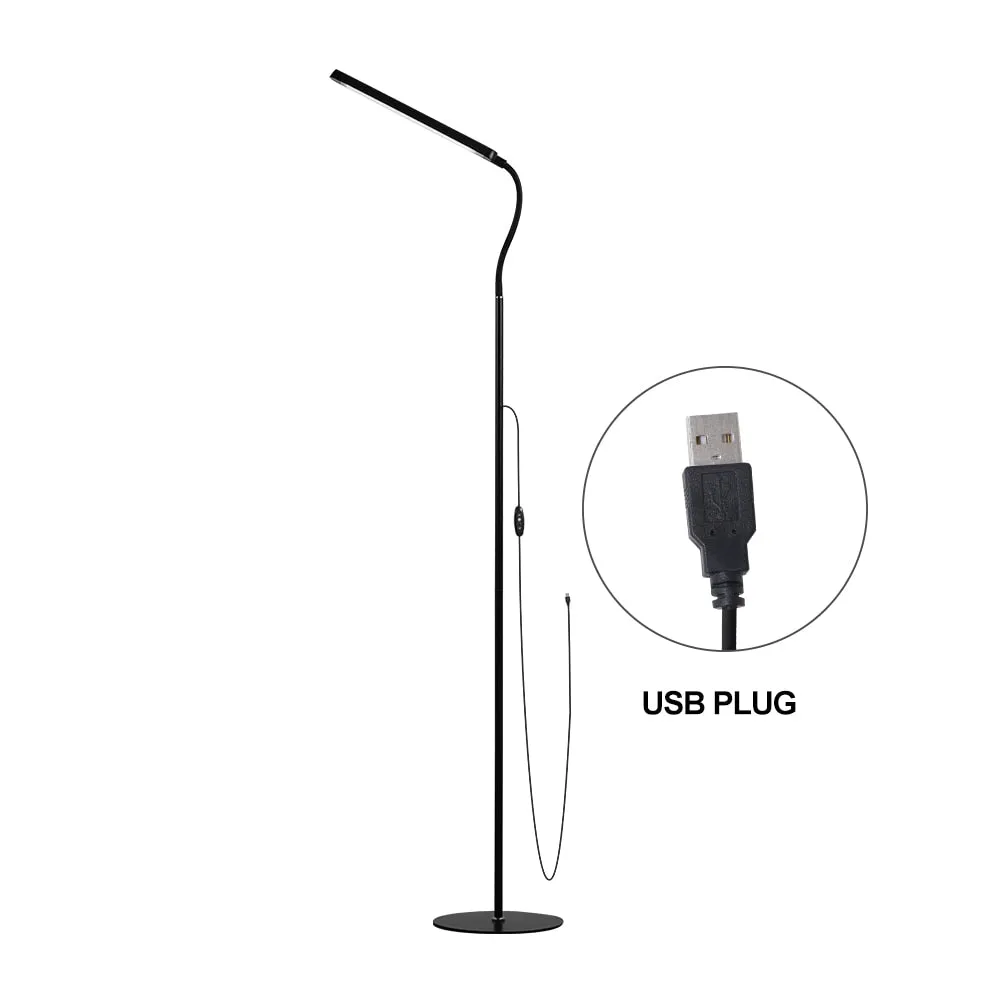 Modern LED Floor Lamp