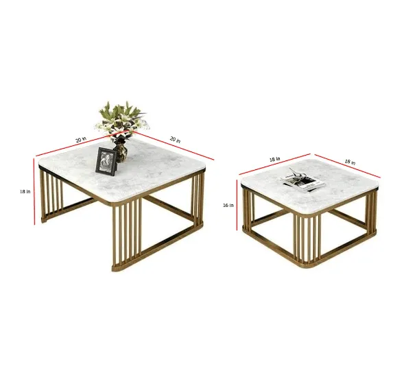 Square Coffee Tables,2 Square Nesting Table Set Coffee Table with Storage Open Shelf for Living Room